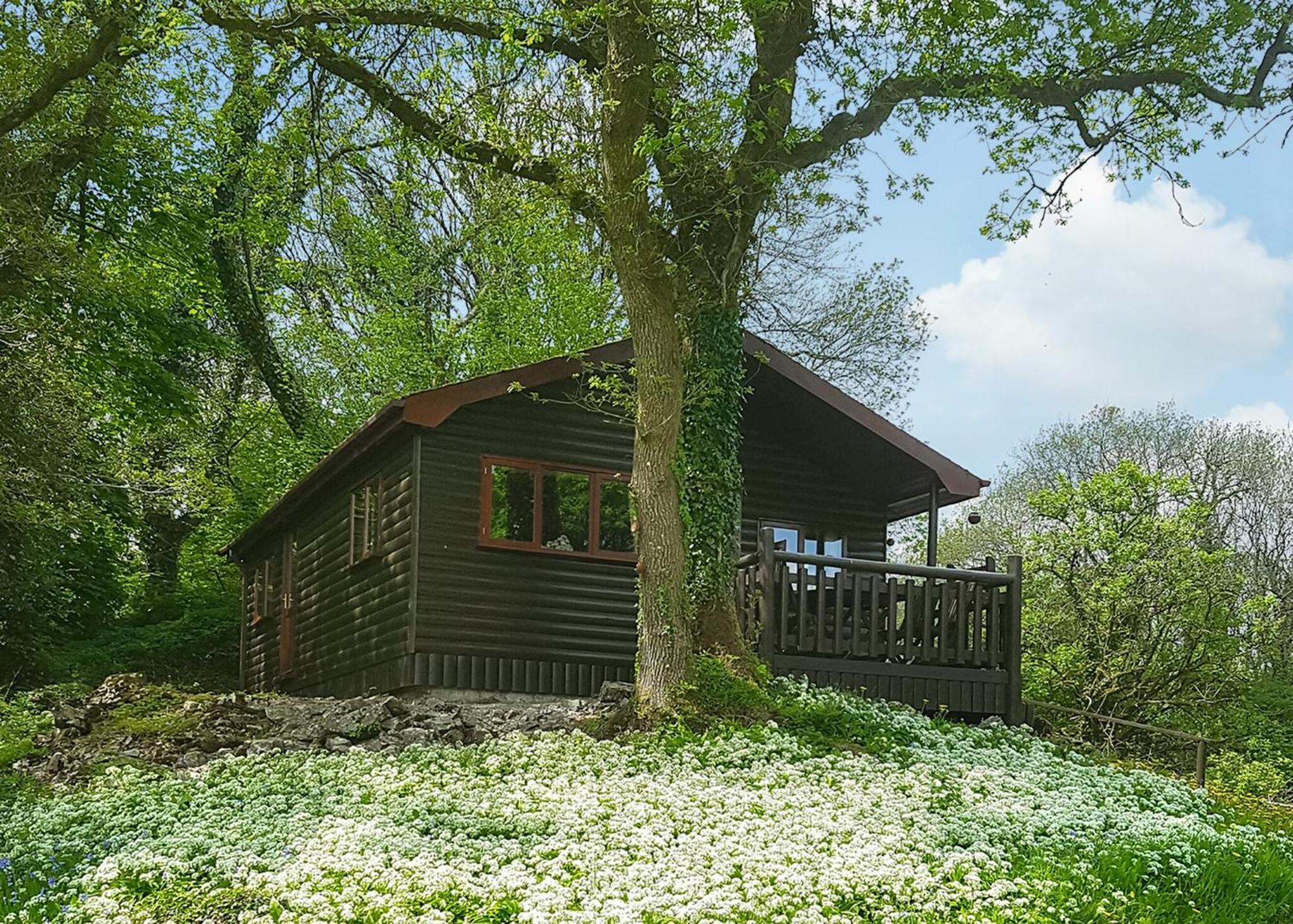 Garnffrwd Park Hotel Llanddarog ห้อง รูปภาพ