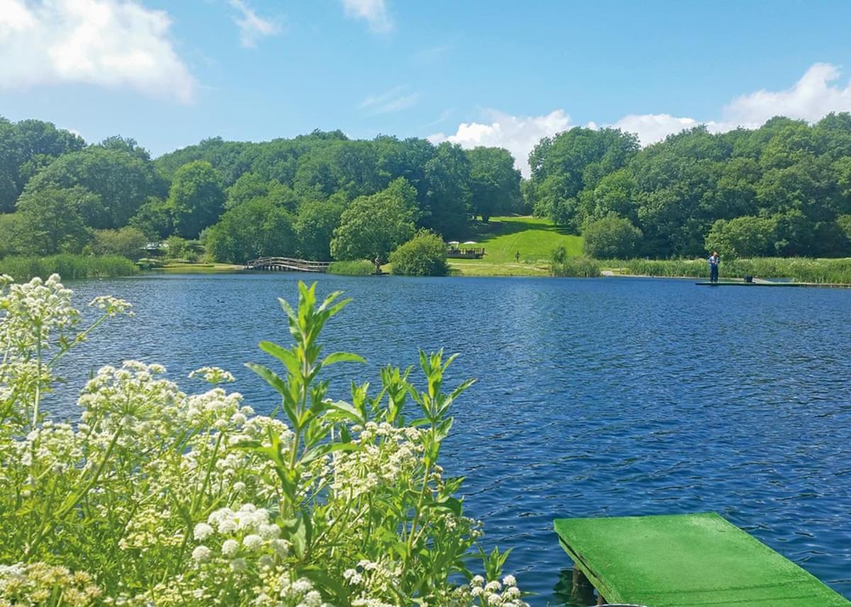 Garnffrwd Park Hotel Llanddarog ภายนอก รูปภาพ