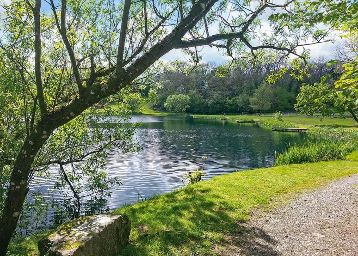 Garnffrwd Park Hotel Llanddarog ภายนอก รูปภาพ